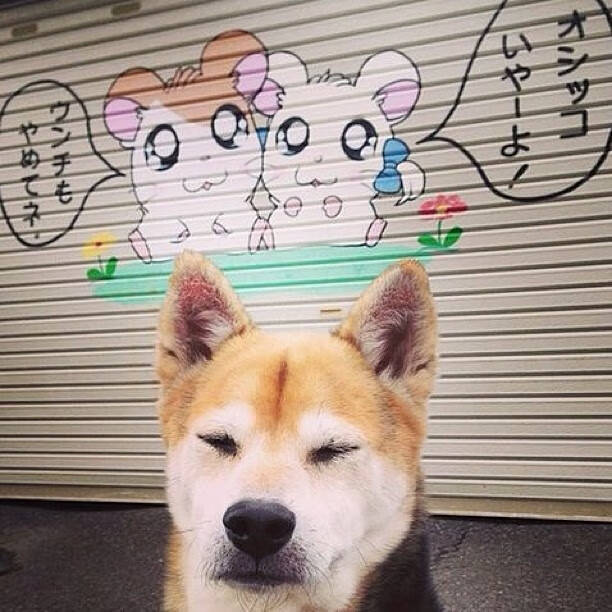 五大联赛球员租借体系是否利于新人成长，五大联赛球队收入