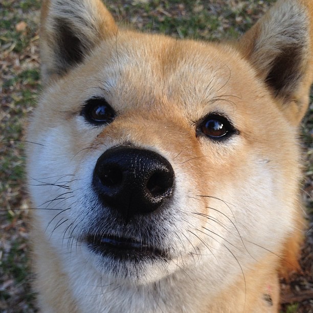 开云官网入口-马龙与林高远合作创佳绩，混双项目走向未来，马龙指导林高远