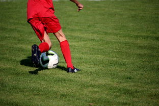 开云体育网页入口-中国足球青训体系引进国际先进训练理念，中国足球青训体系是什么