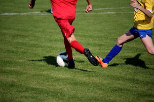 开云官网入口-中小学篮球教研活动不断创新教学方法提升训练效果，篮球教研活动总结